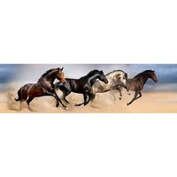samolepiaca-bordura-wild-horses-500-x-14-cm