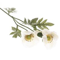 umela-kvetina-vlci-mak-65-cm-biela