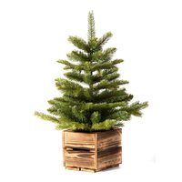 umely-vianocny-stromcek-v-drevenom-kvetinaci-dakls-vyska-65-cm