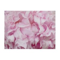 velkoformatova-tapeta-artgeist-pink-azalea-200-x-154-cm