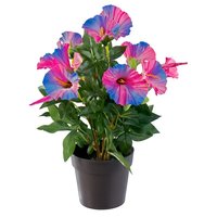 umela-kvetina-petunia-fialova