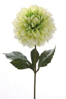 umela-kvetina-dahlia-svetlo-zelena