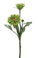 umela-kvetina-nechtik-zelena