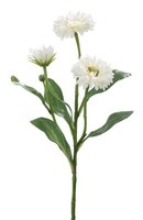 umela-kvetina-nechtik-vetva-biela