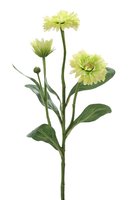 umela-kvetina-nechtik-vetva-zelena