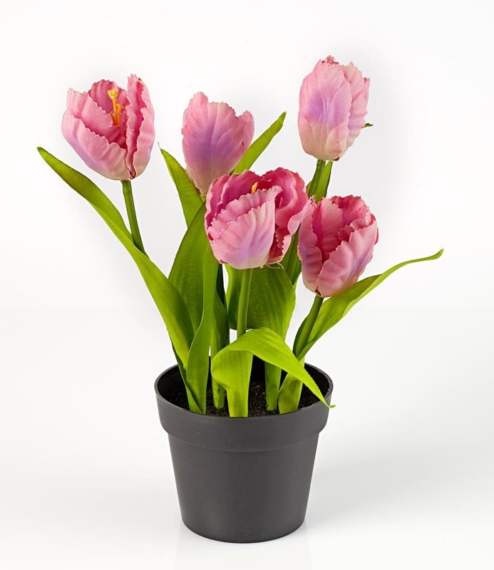 umele-kvety-tulipany-ruzove