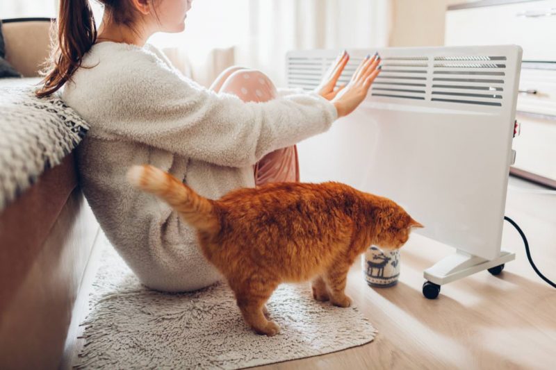 žena s mačkou pri radiátore